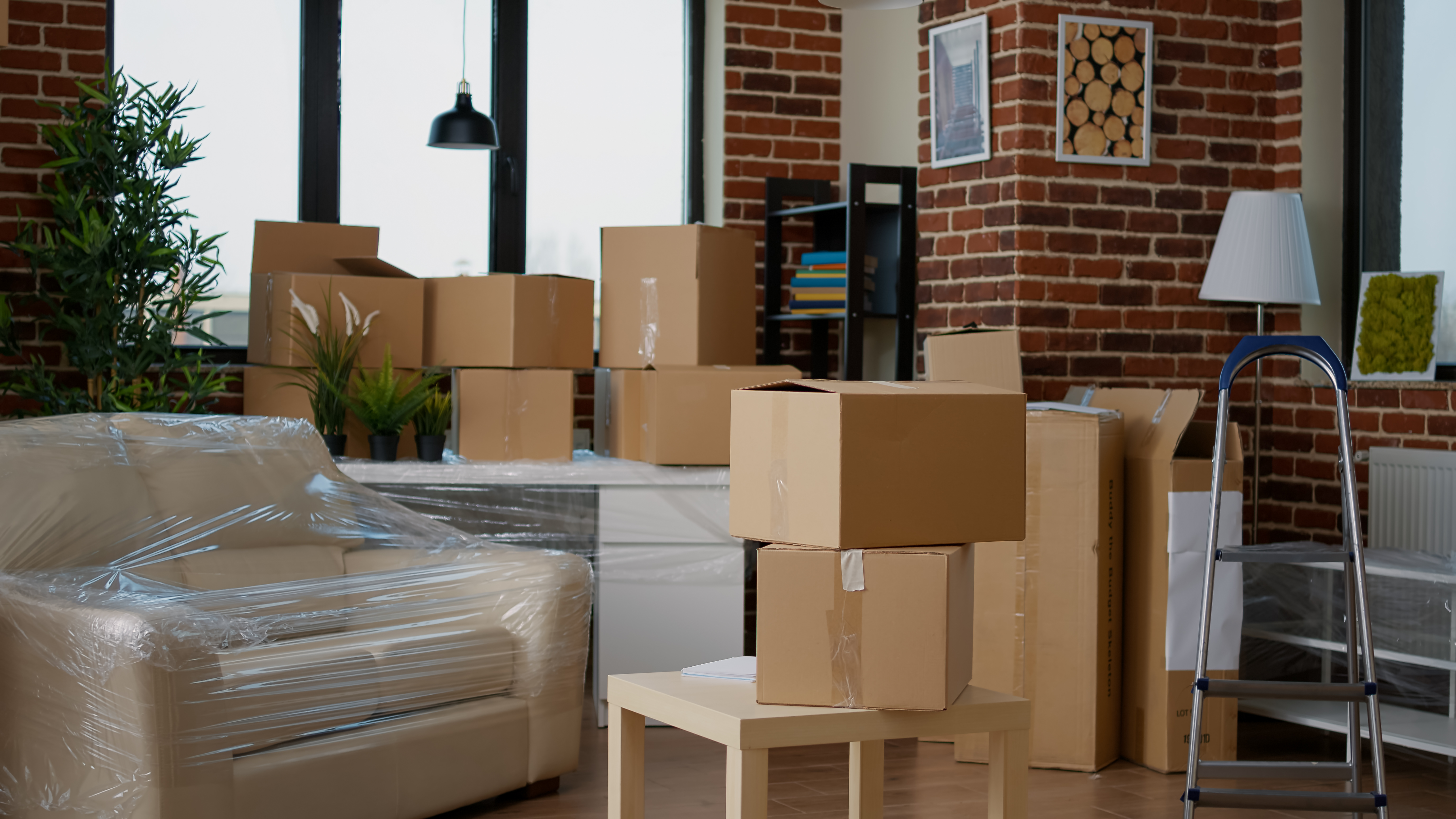 Professional Packing